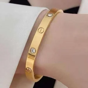 غويشة ستانلس ستيل فخمة للسيدات - إكسسوارات حريمي أنيقة وعصرية - DHA-130-3