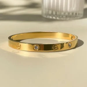 غويشة ستانلس ستيل فخمة للسيدات - إكسسوارات حريمي أنيقة وعصرية - DHA-130-3